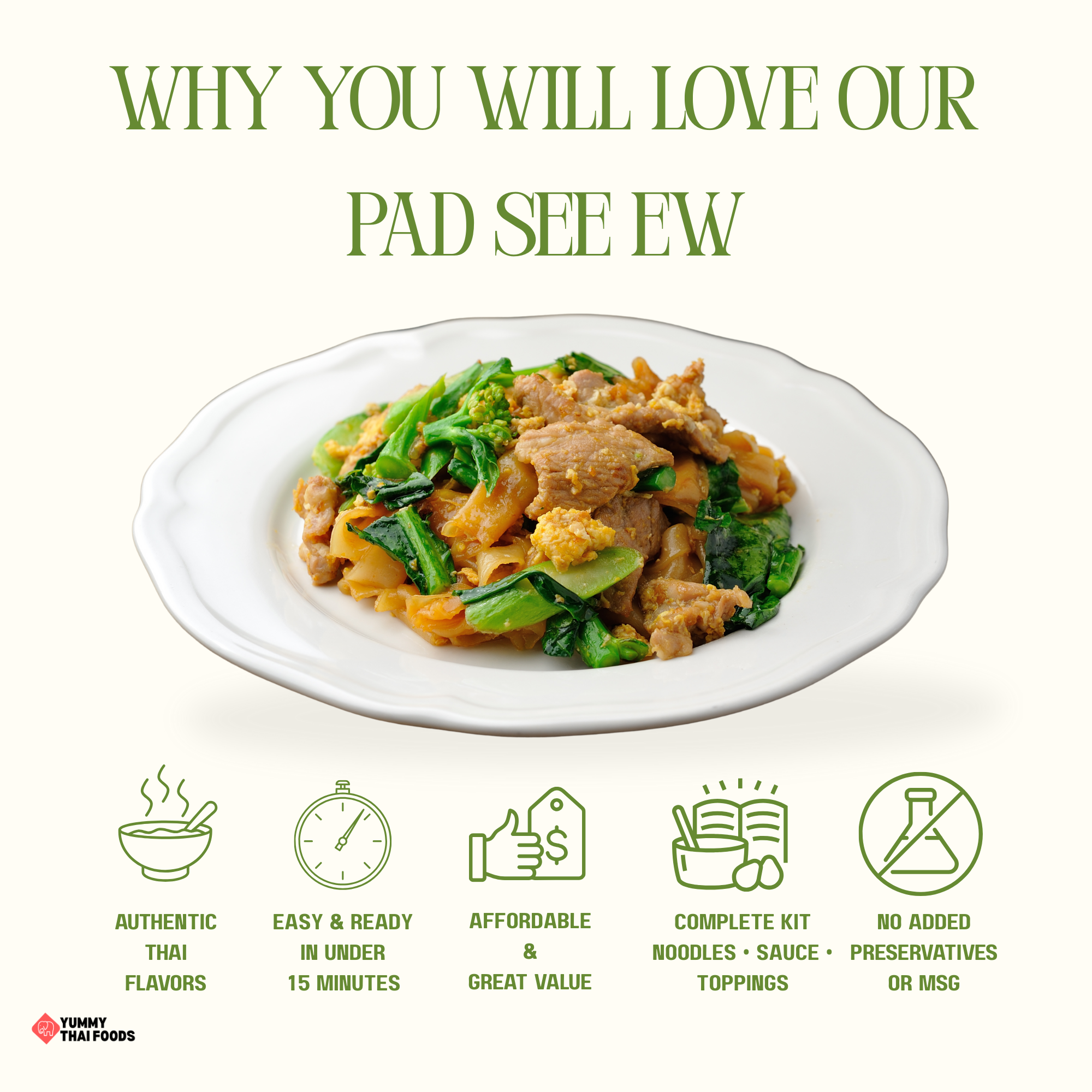 Pad See Ew Noodle 6-Pack