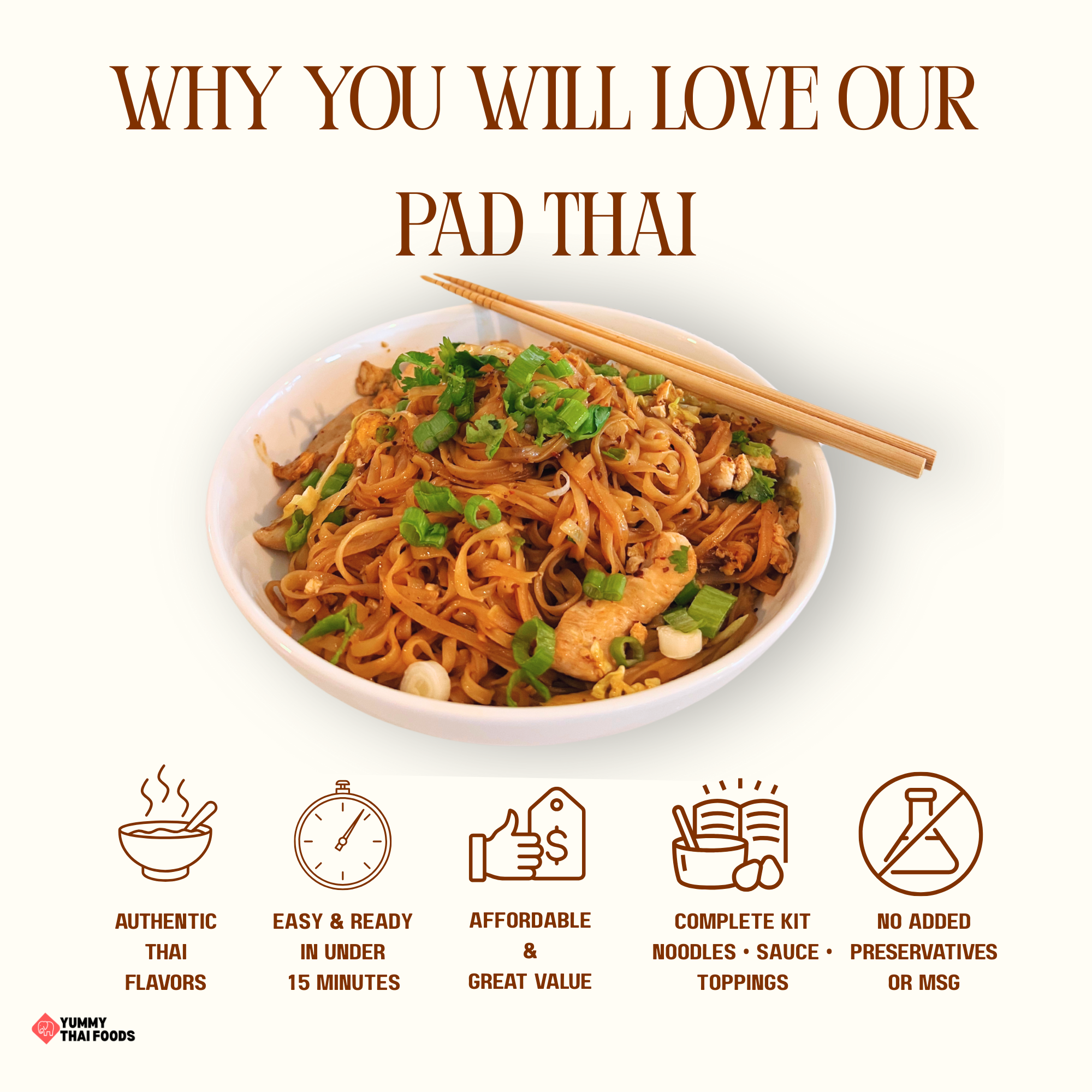 Pad Thai Noodle Kit 6-Pack
